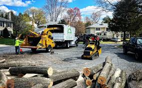 Lawn Irrigation Installation and Maintenance in New Rochelle, NY